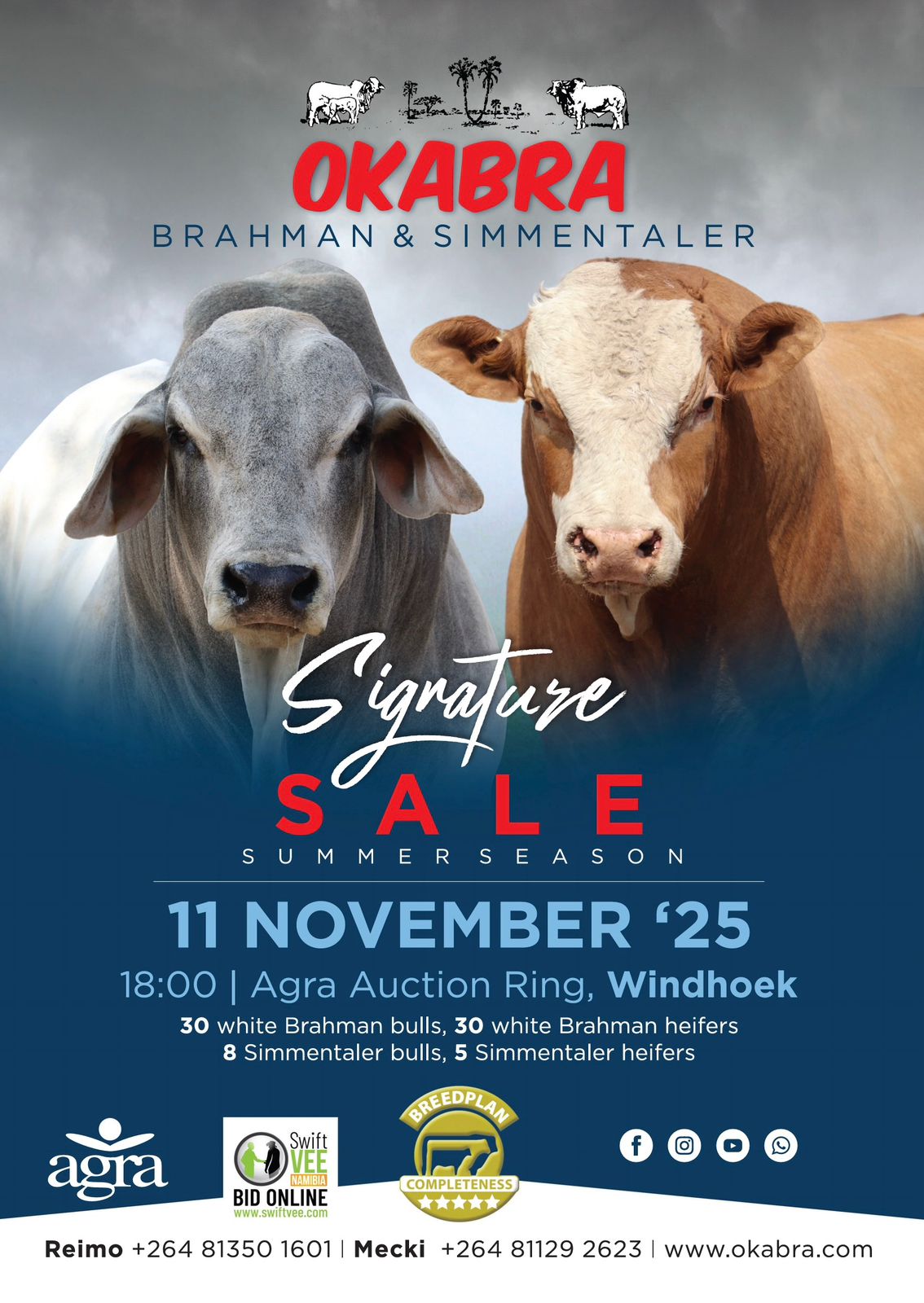 Summer Signature Sale 2025