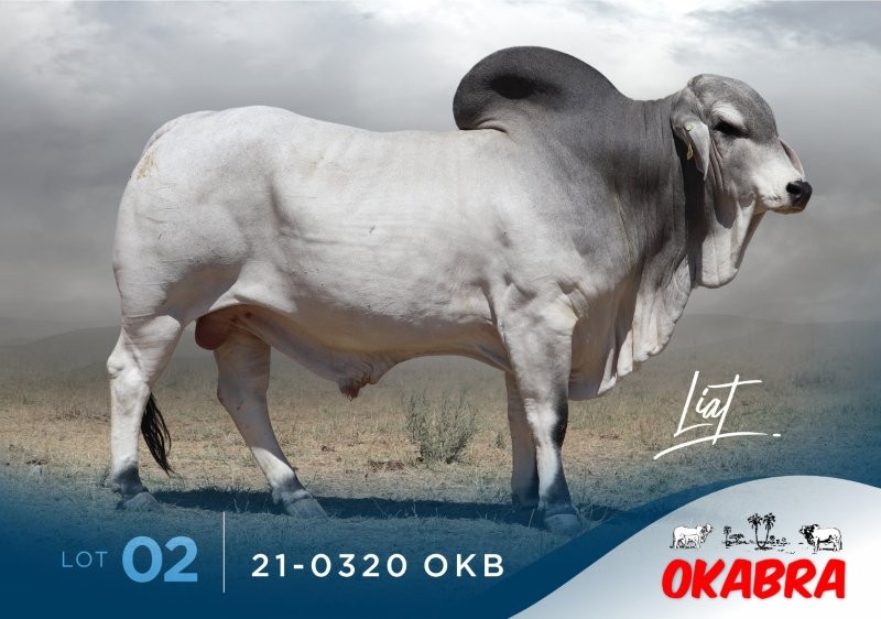 21-0320OKB 21-0320OKB