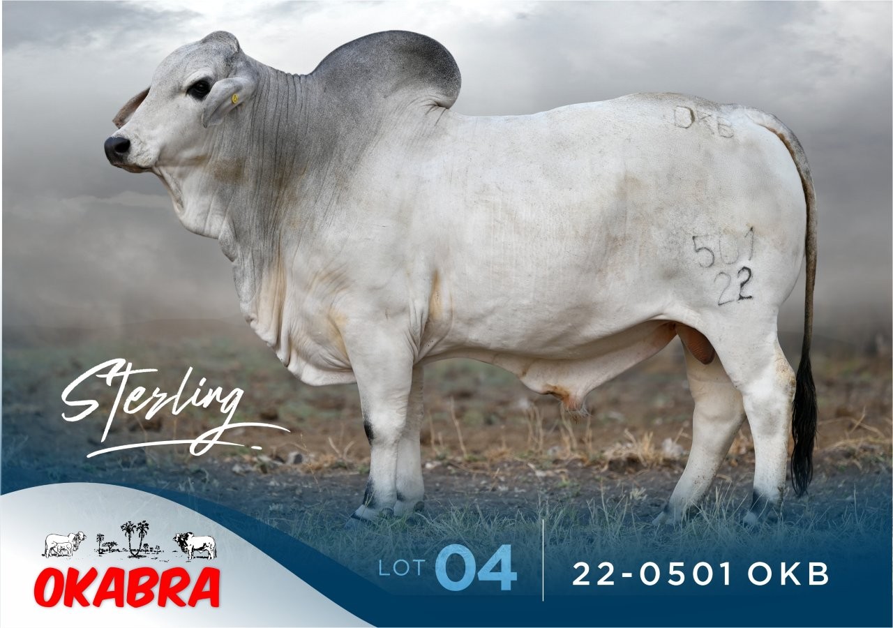 22-0501OKB 22-0501OKB