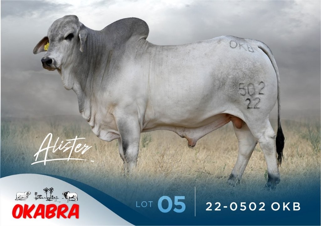 005 (1) LOT 057 - S22145