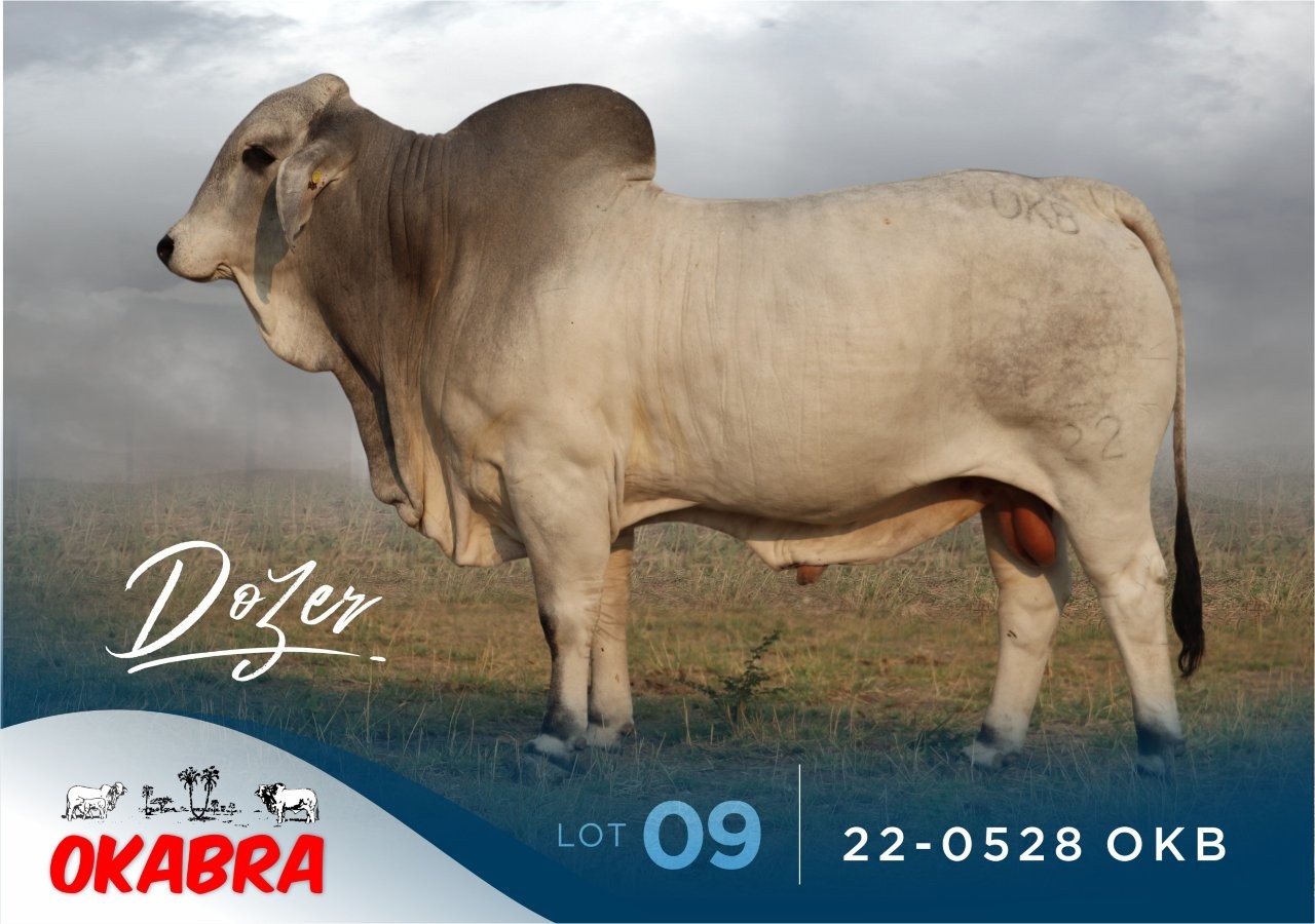 22-0528OKB 22-0528OKB