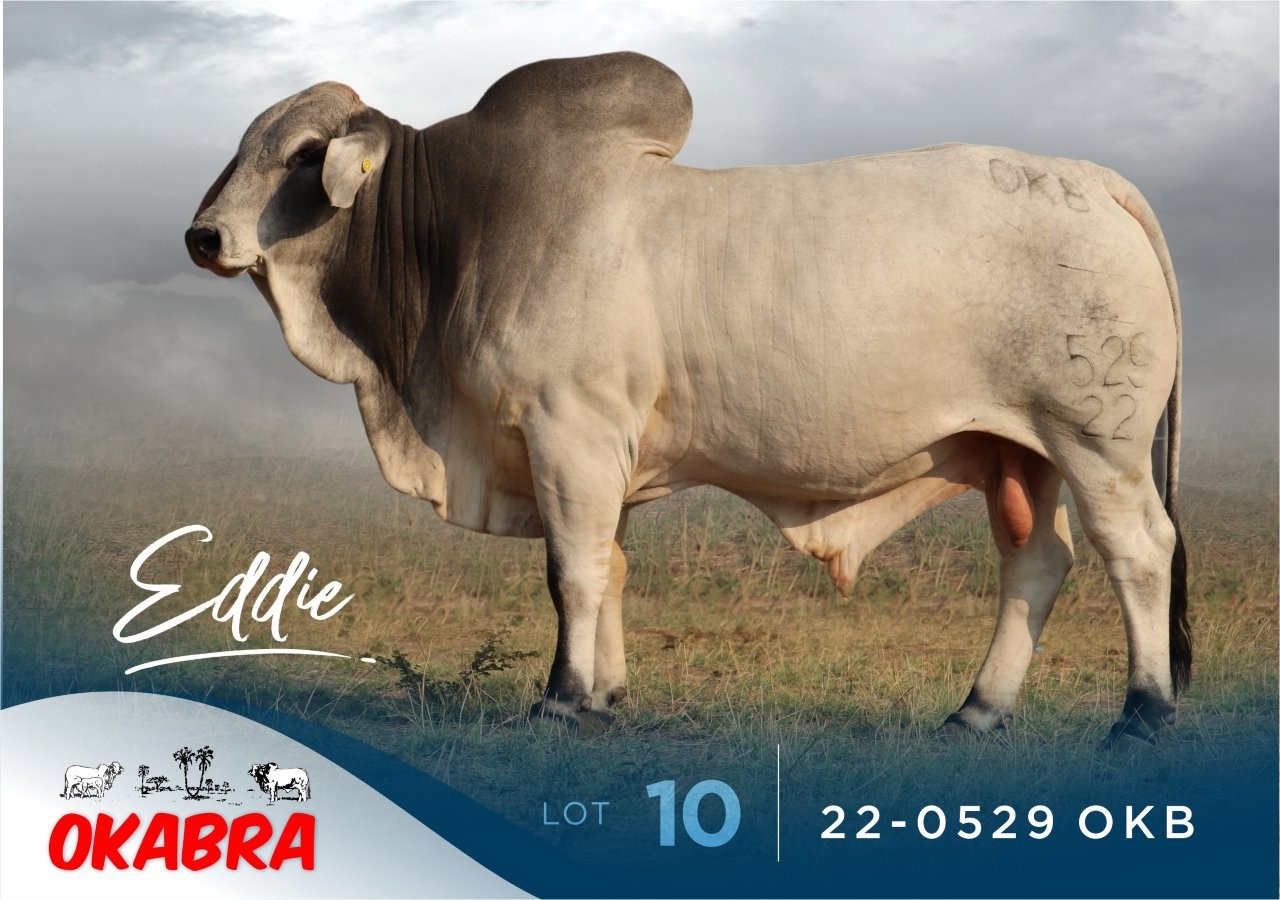 22-0529OKB 22-0529OKB