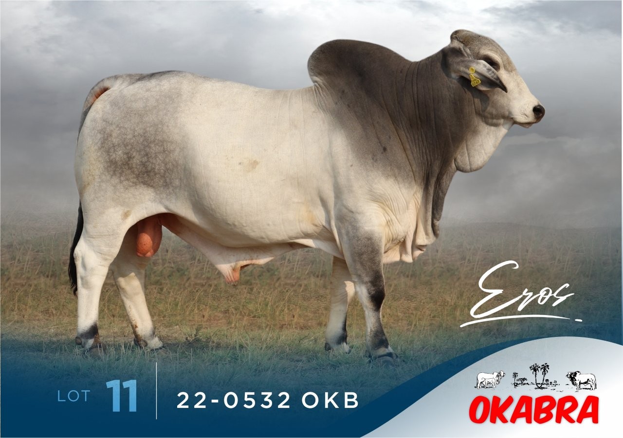 22-0532OKB 22-0532OKB