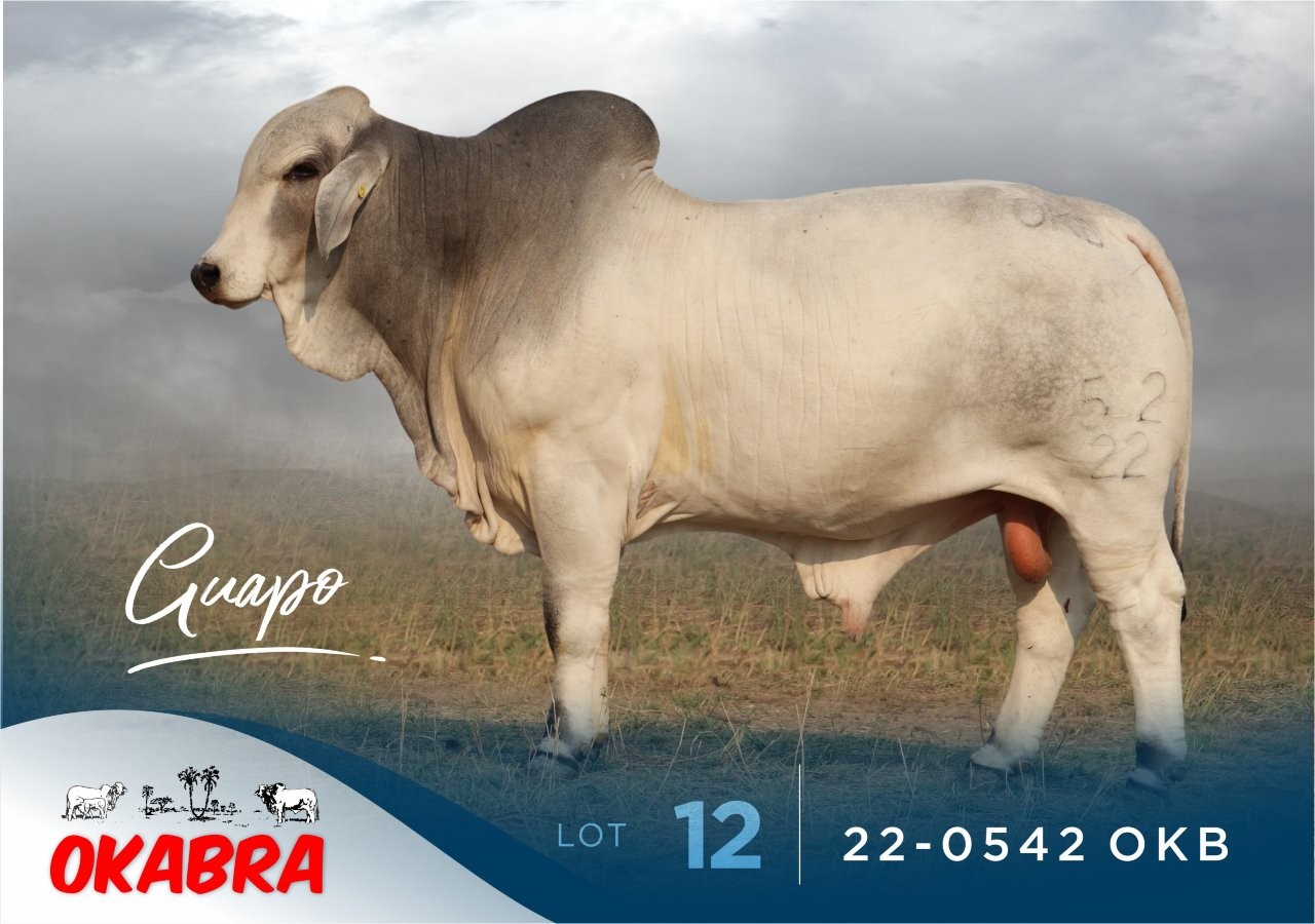 22-0542OKB 22-0542OKB