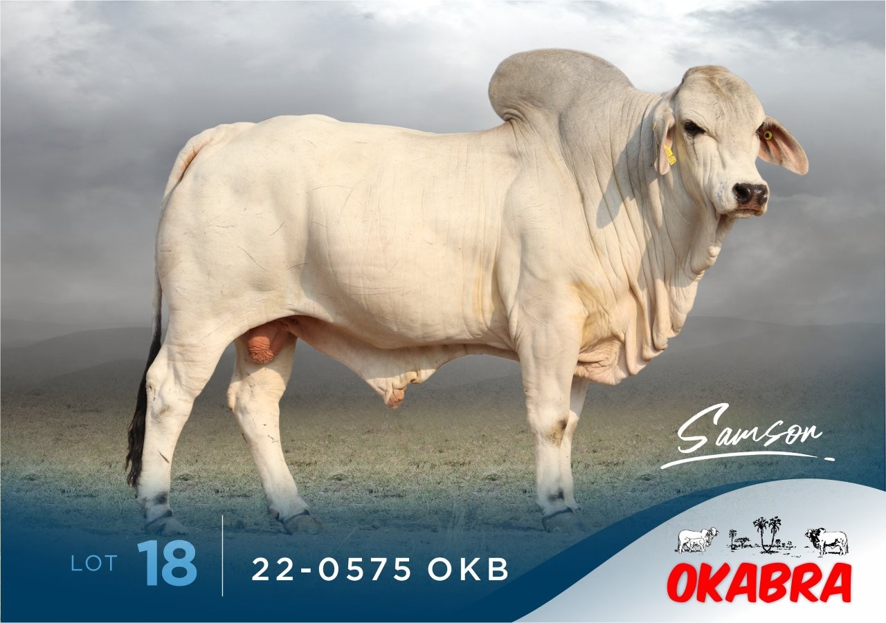 22-0575OKB 22-0575OKB