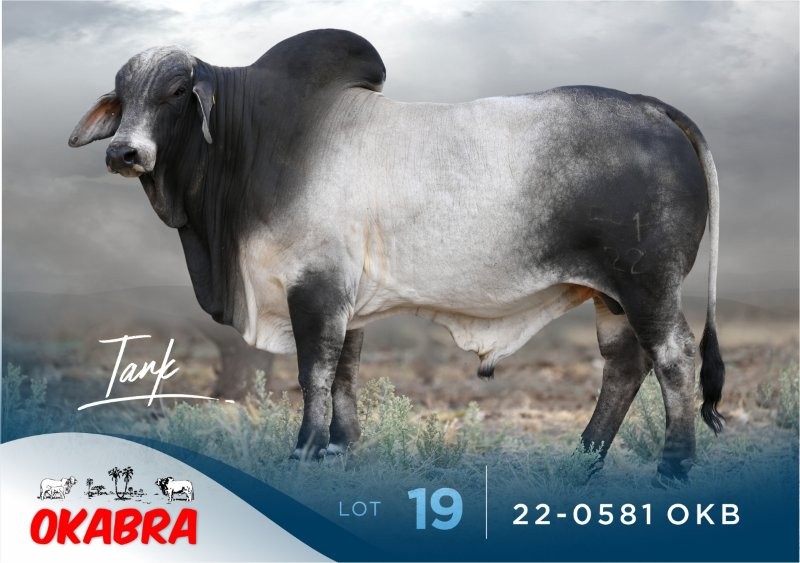 22-0581OKB 22-0581OKB