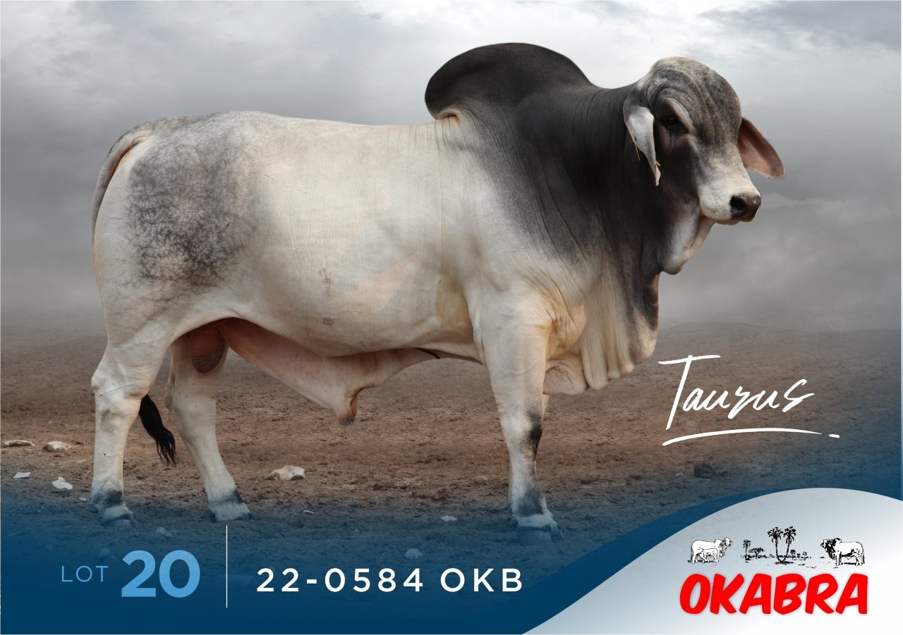 22-0584OKB 22-0584OKB