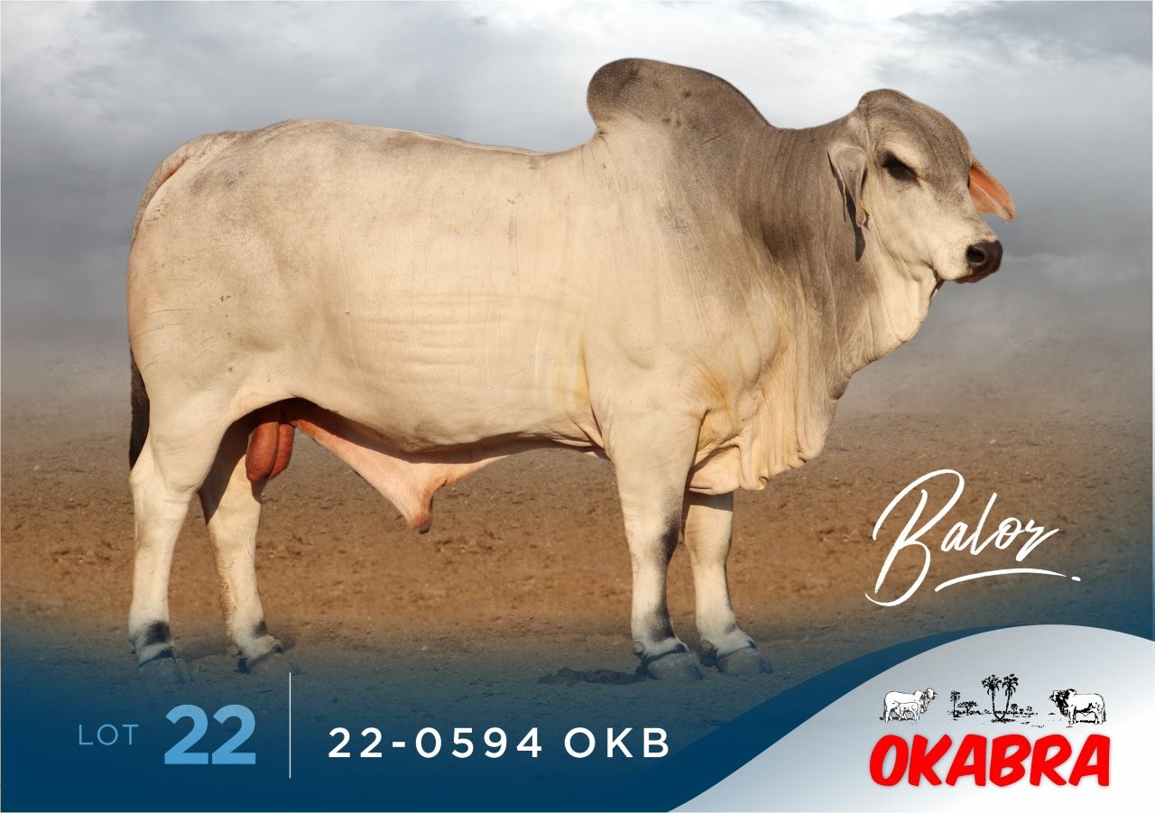 22-0594OKB 22-0594OKB