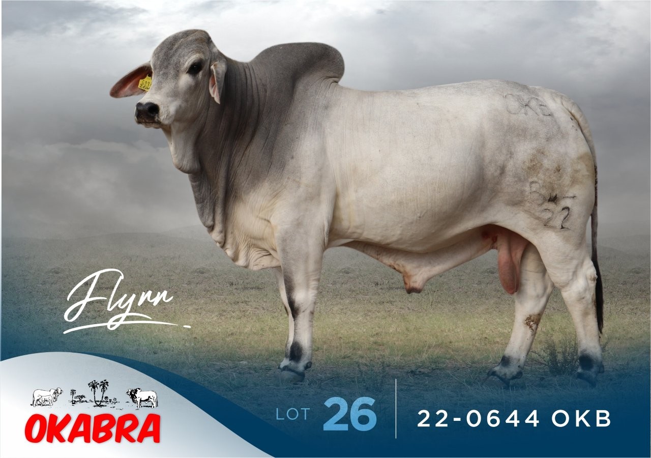 22-0644OKB 22-0644OKB