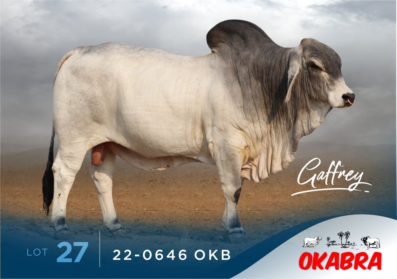 22-0646OKB 22-0646OKB