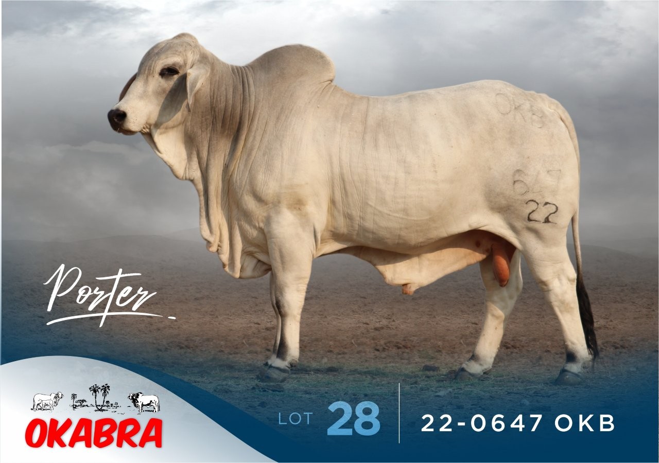 22-0647OKB 22-0647OKB