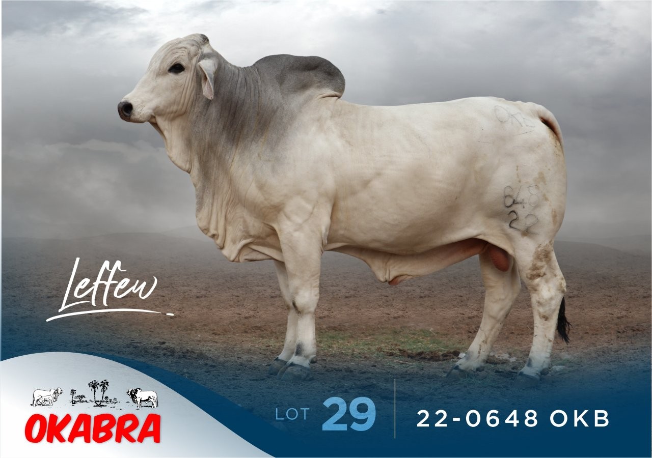 22-0648OKB 22-0648OKB