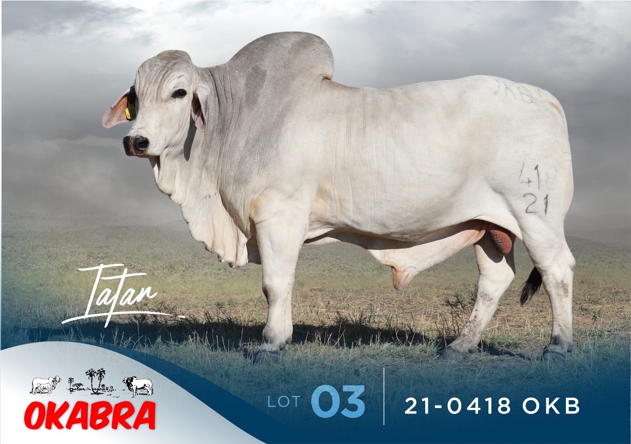 21-0418OKB 21-0418OKB