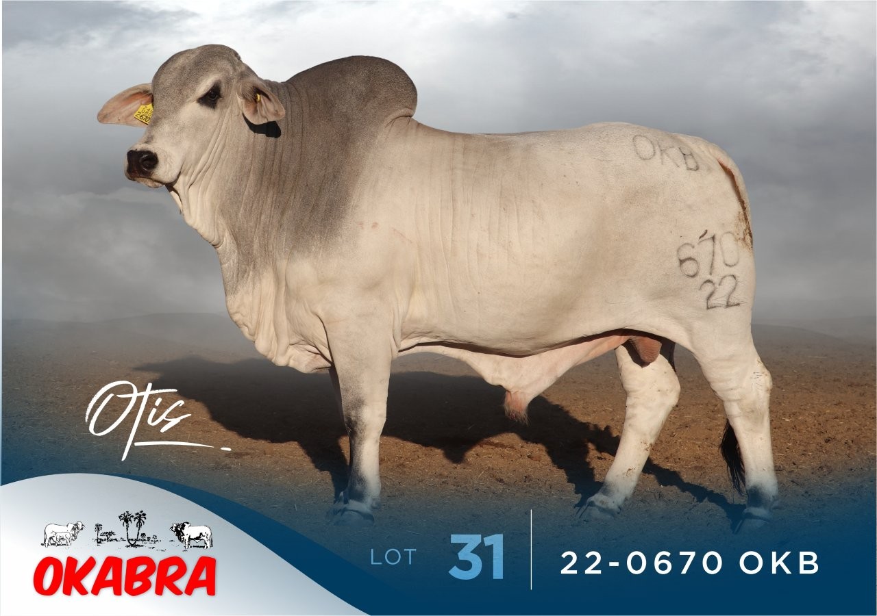 22-0670OKB 22-0670OKB