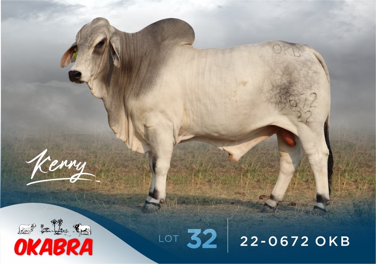 22-0672OKB 22-0672OKB