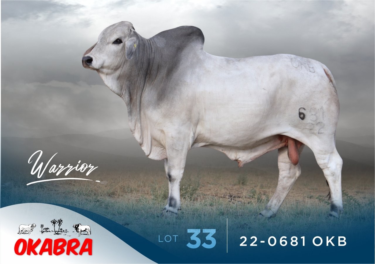 22-0681OKB 22-0681OKB