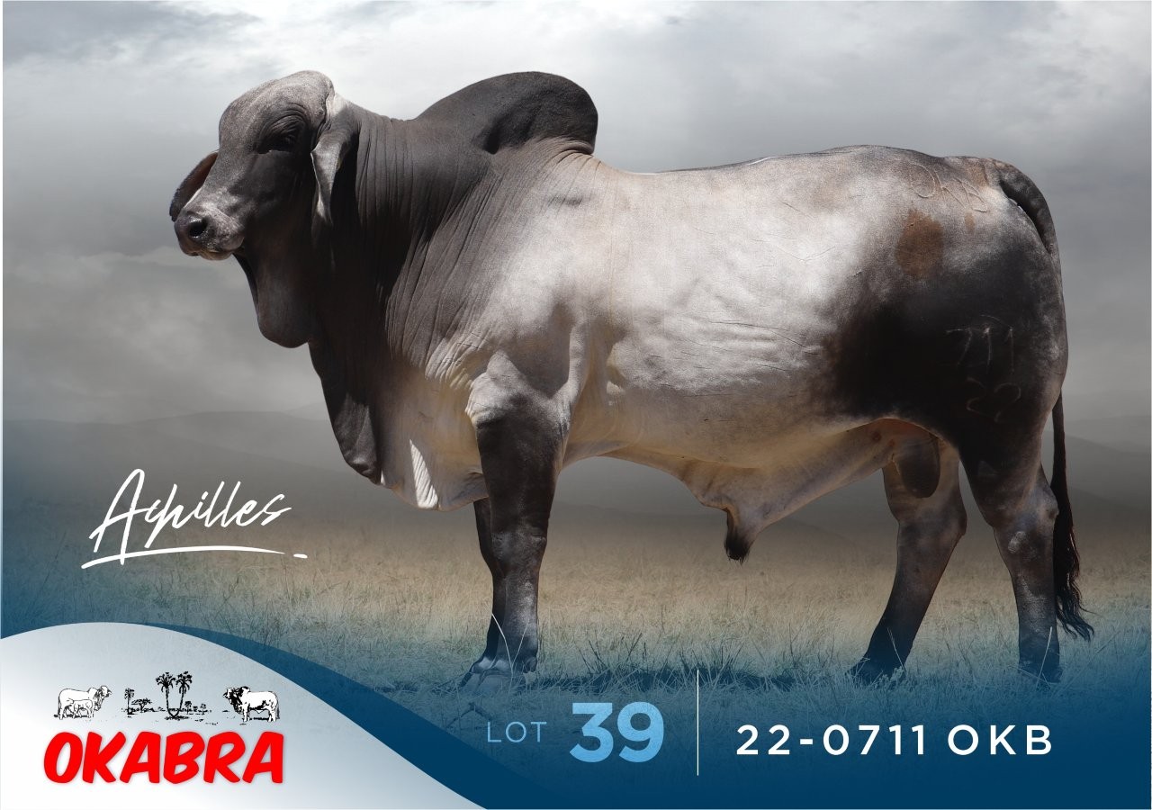 22-0711OKB 22-0711OKB