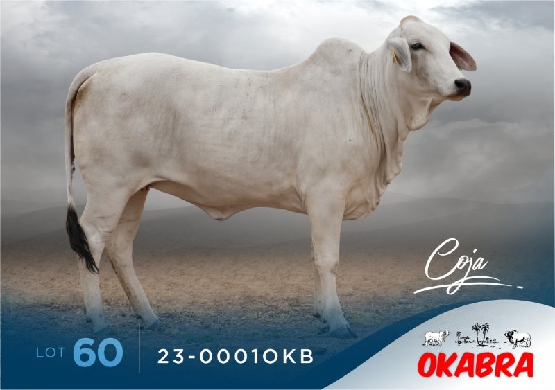 23-0001OKB 23-0001OKB