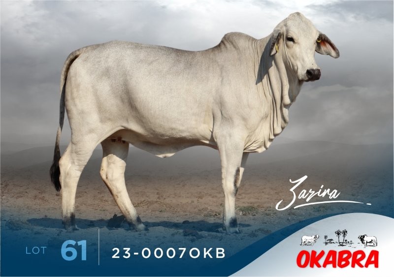 23-0007OKB 23-0007OKB