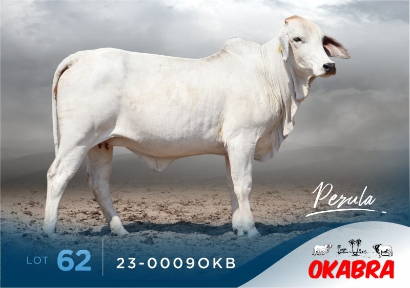 23-0009OKB 23-0009OKB