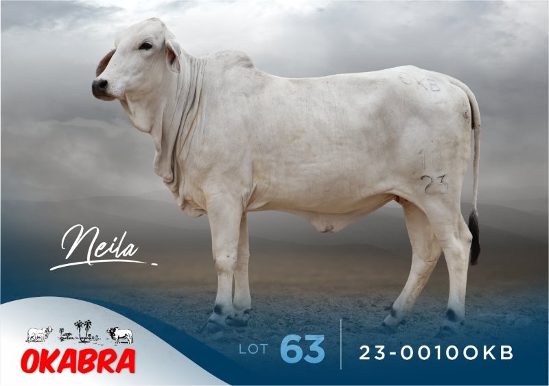 23-0010OKB 23-0010OKB