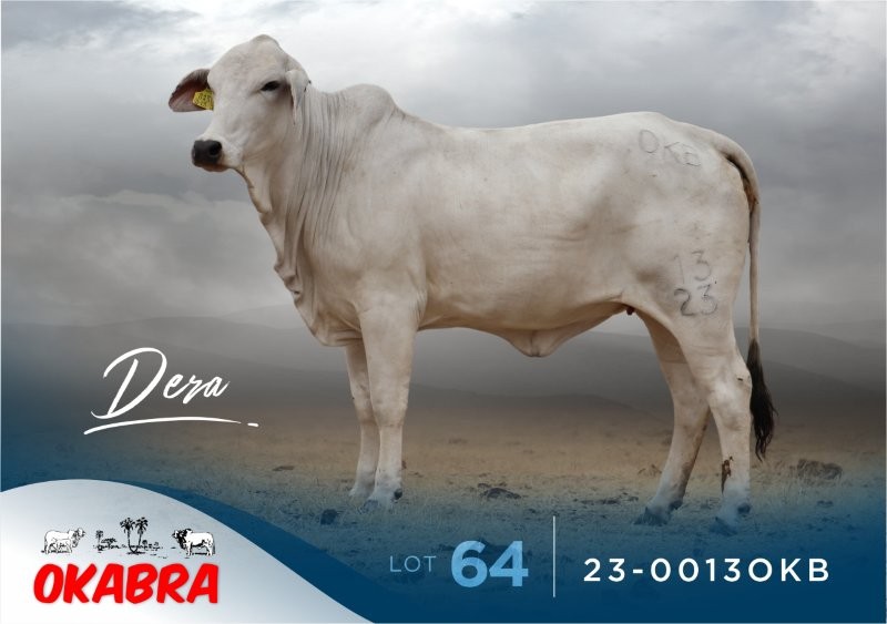 23-0013OKB 23-0013OKB