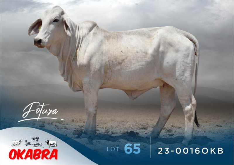 23-0016OKB 23-0016OKB