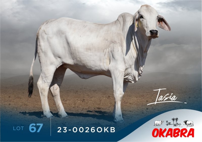 23-0026OKB 23-0026OKB