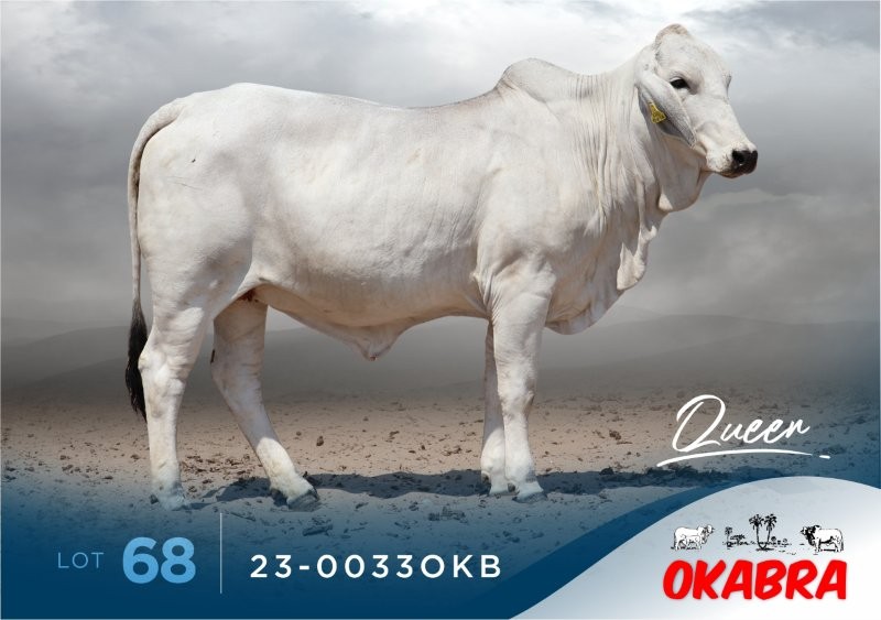 23-0033OKB 23-0033OKB