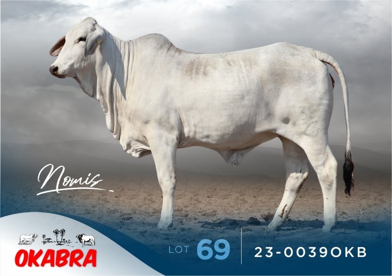 23-0039OKB 23-0016OKB