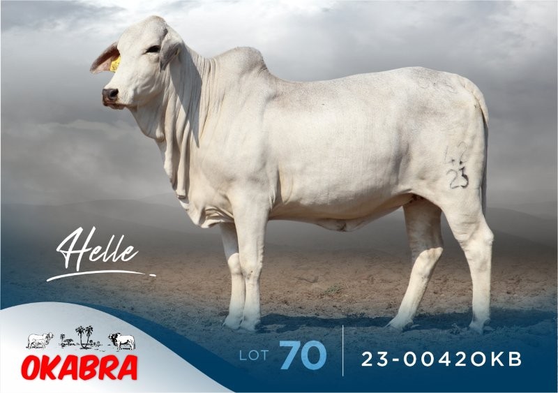 23-0042OKB 23-0042OKB