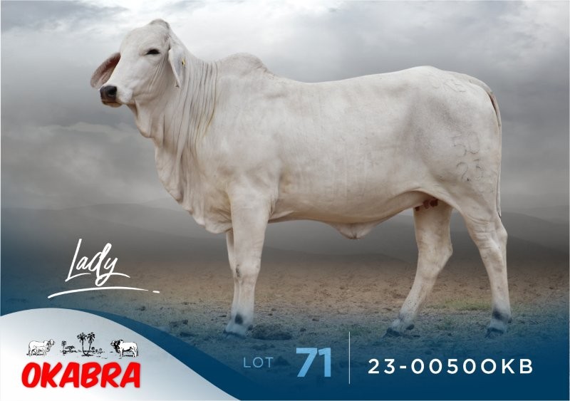 23-0050OKB 23-0050OKB