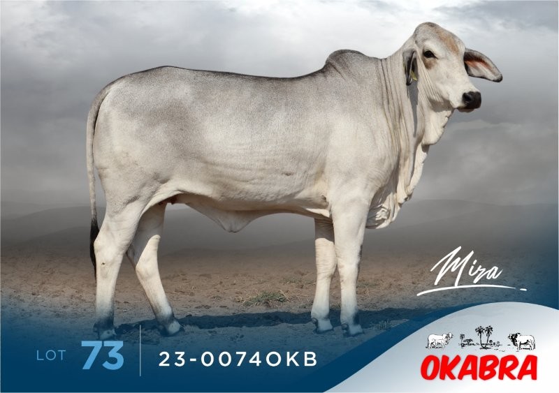 23-0074OKB 23-0074OKB