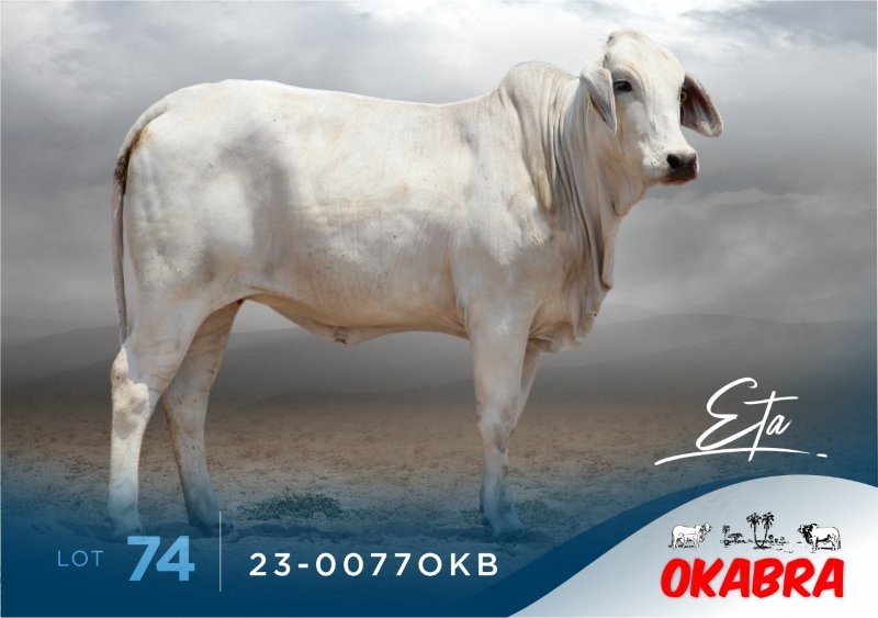 23-0077OKB 23-0077OKB