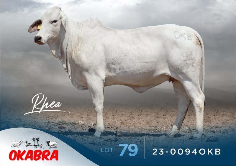 23-0094OKB 23-0094OKB