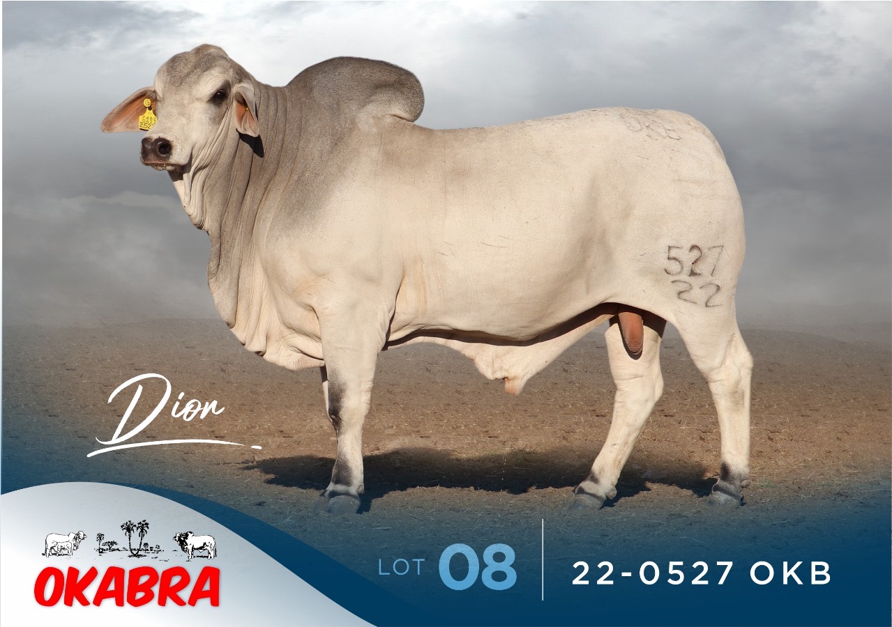 22-0527OKB 22-0527OKB