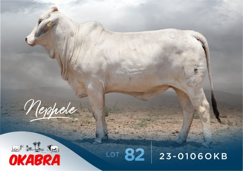 23-0106OKB 23-0106OKB