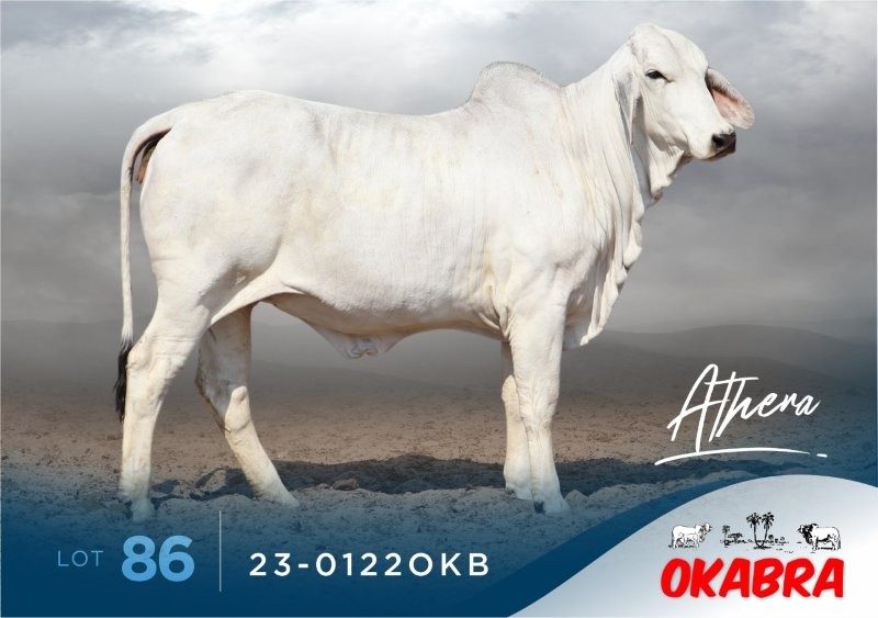 23-0122OKB 23-0122OKB