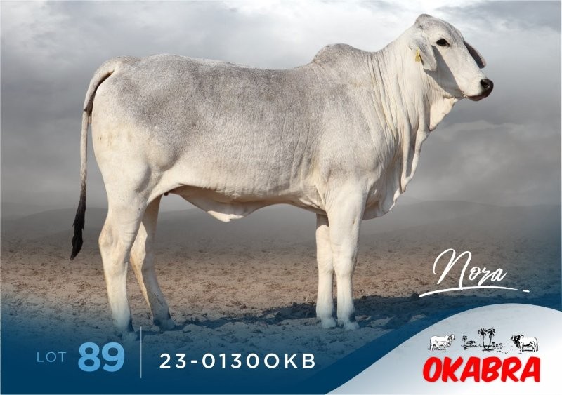 23-0130OKB 23-0130OKB