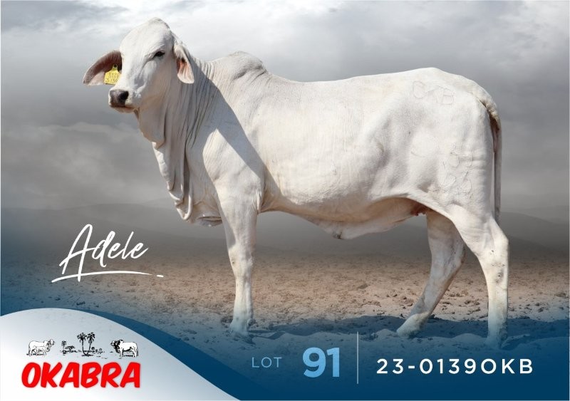 23-0139OKB 23-0139OKB