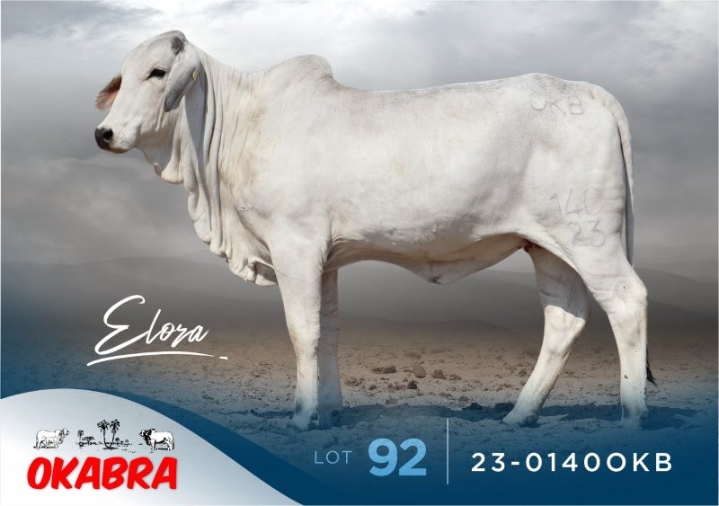 23-0140OKB 23-0140OKB