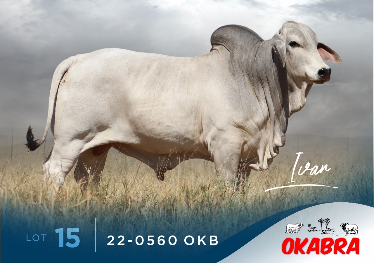 22-0560OKB 22-0560OKB