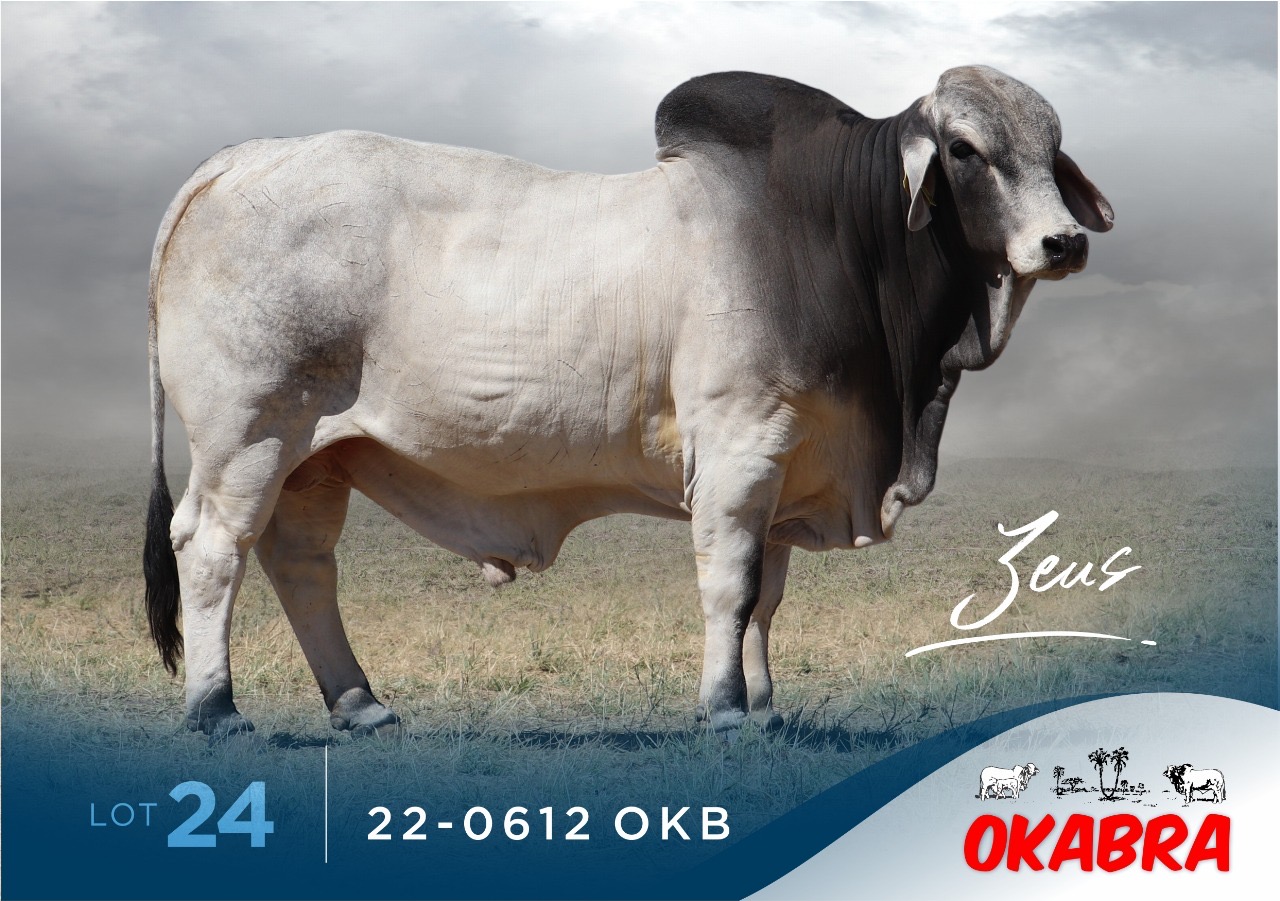 22-0612OKB 22-0612OKB