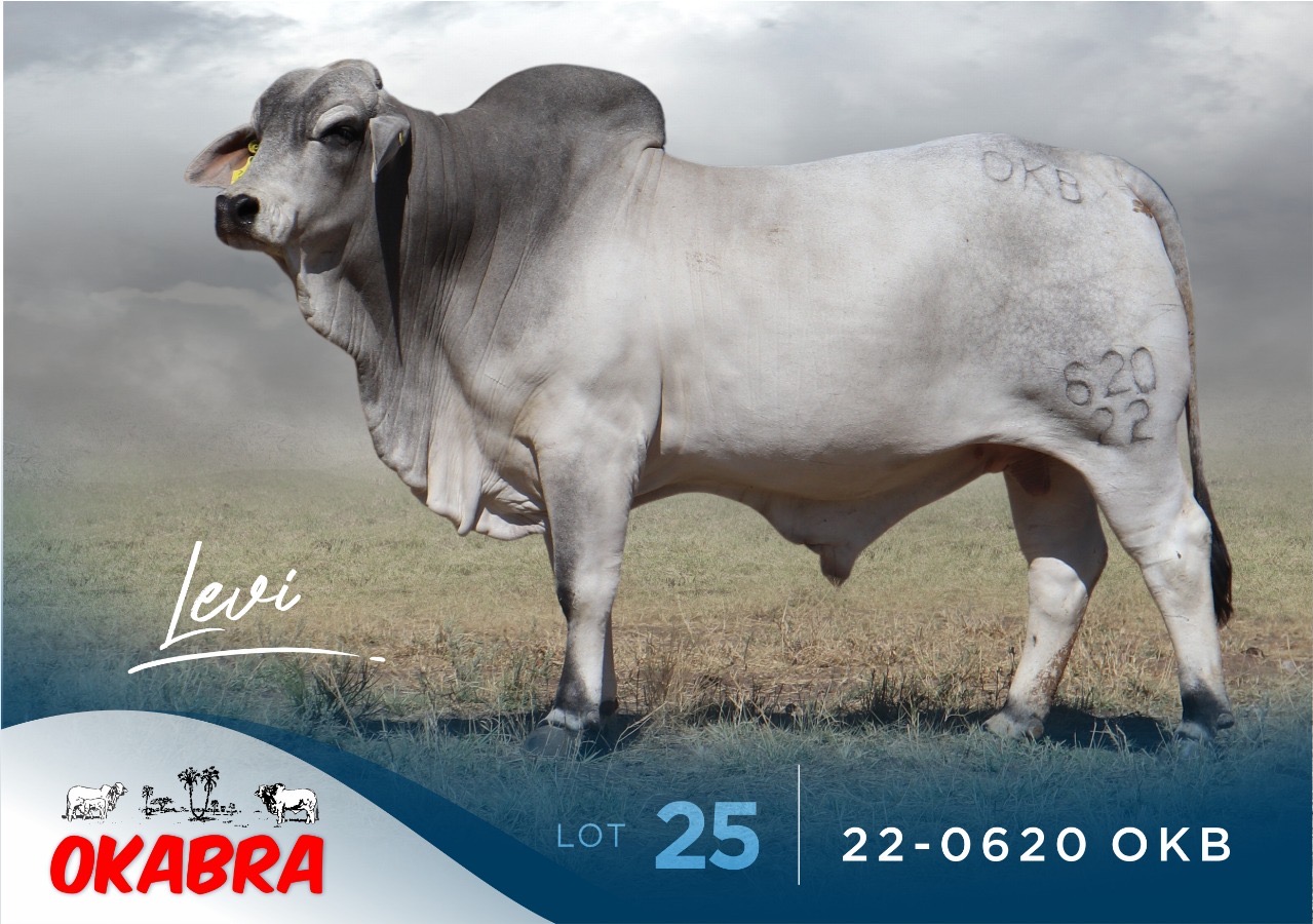 22-0620OKB 22-0620OKB