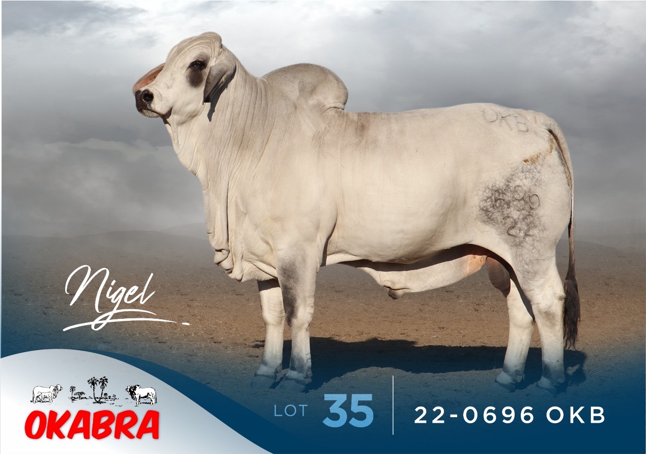 22-0696OKB 22-0696OKB