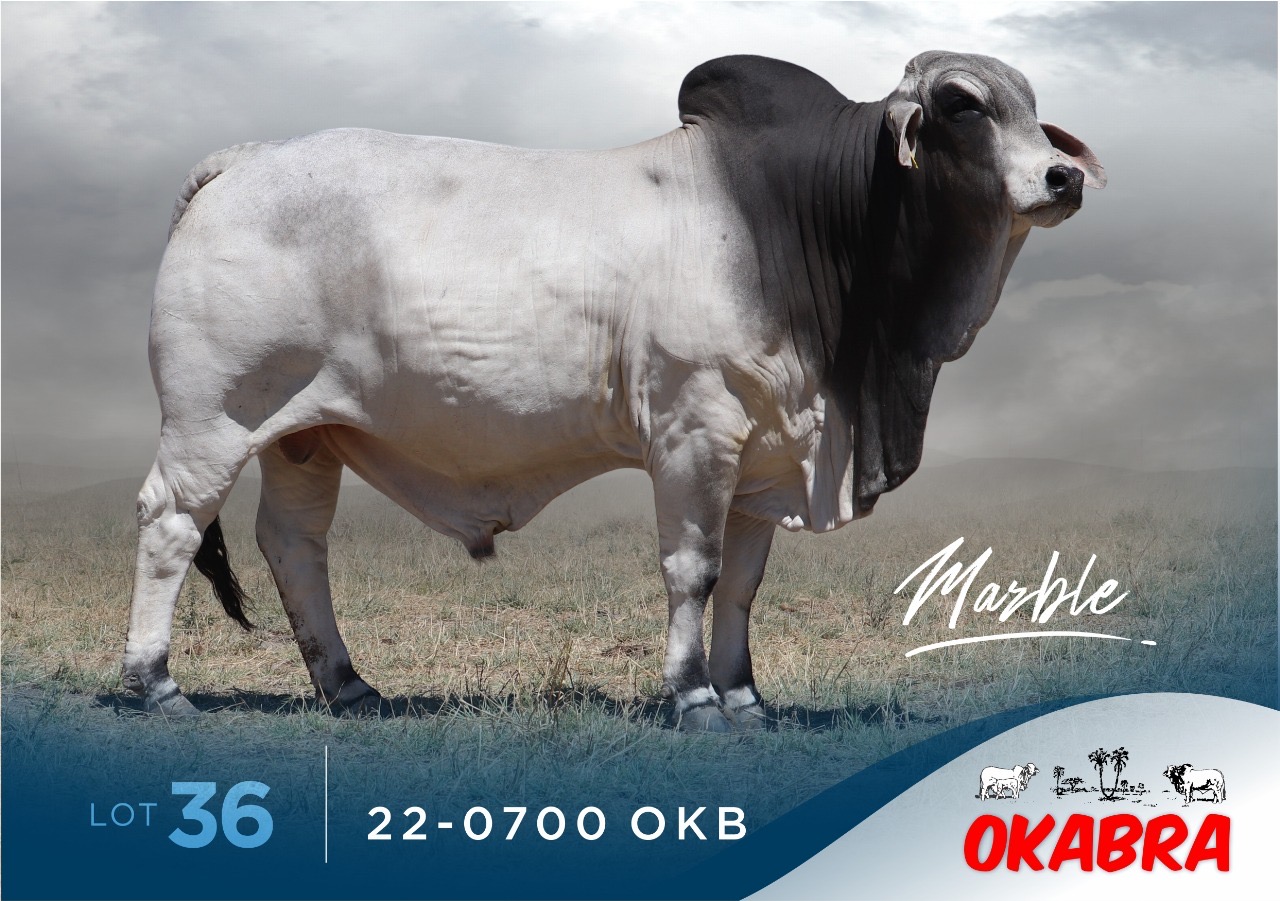 22-0700OKB 22-0700OKB