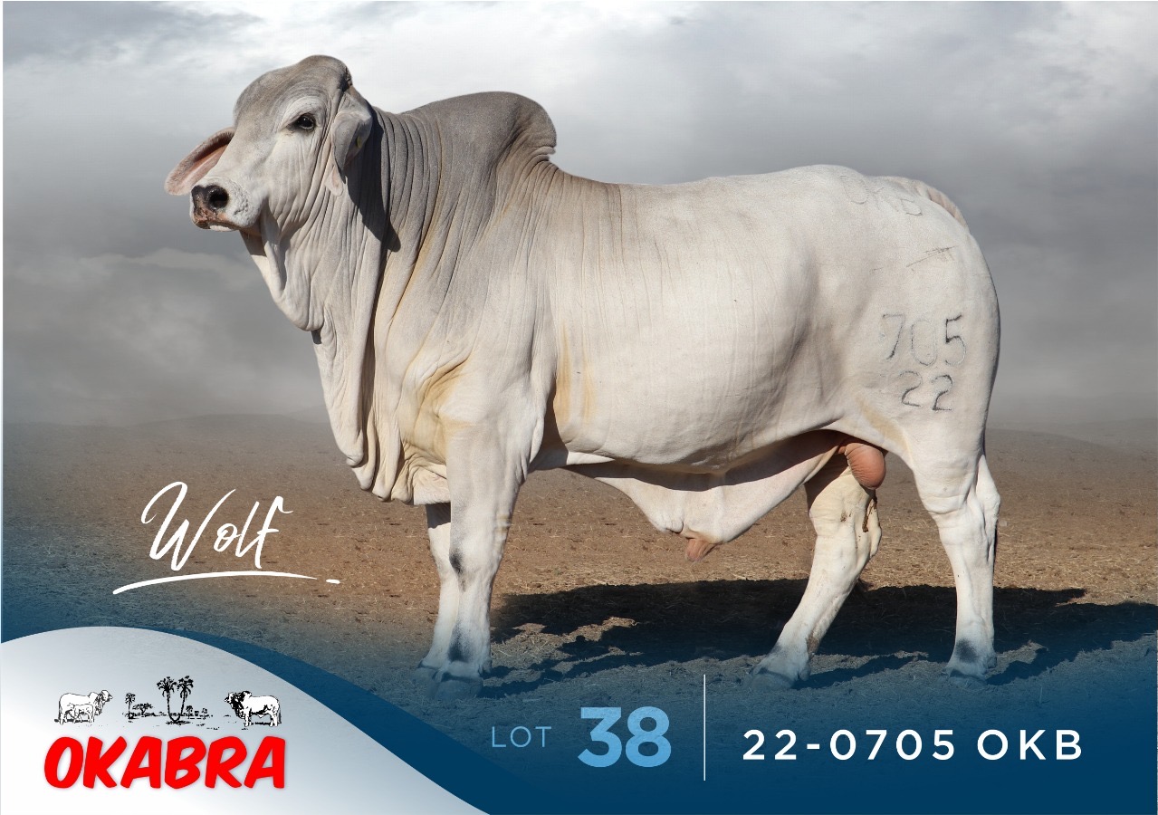 22-0705OKB 22-0705OKB