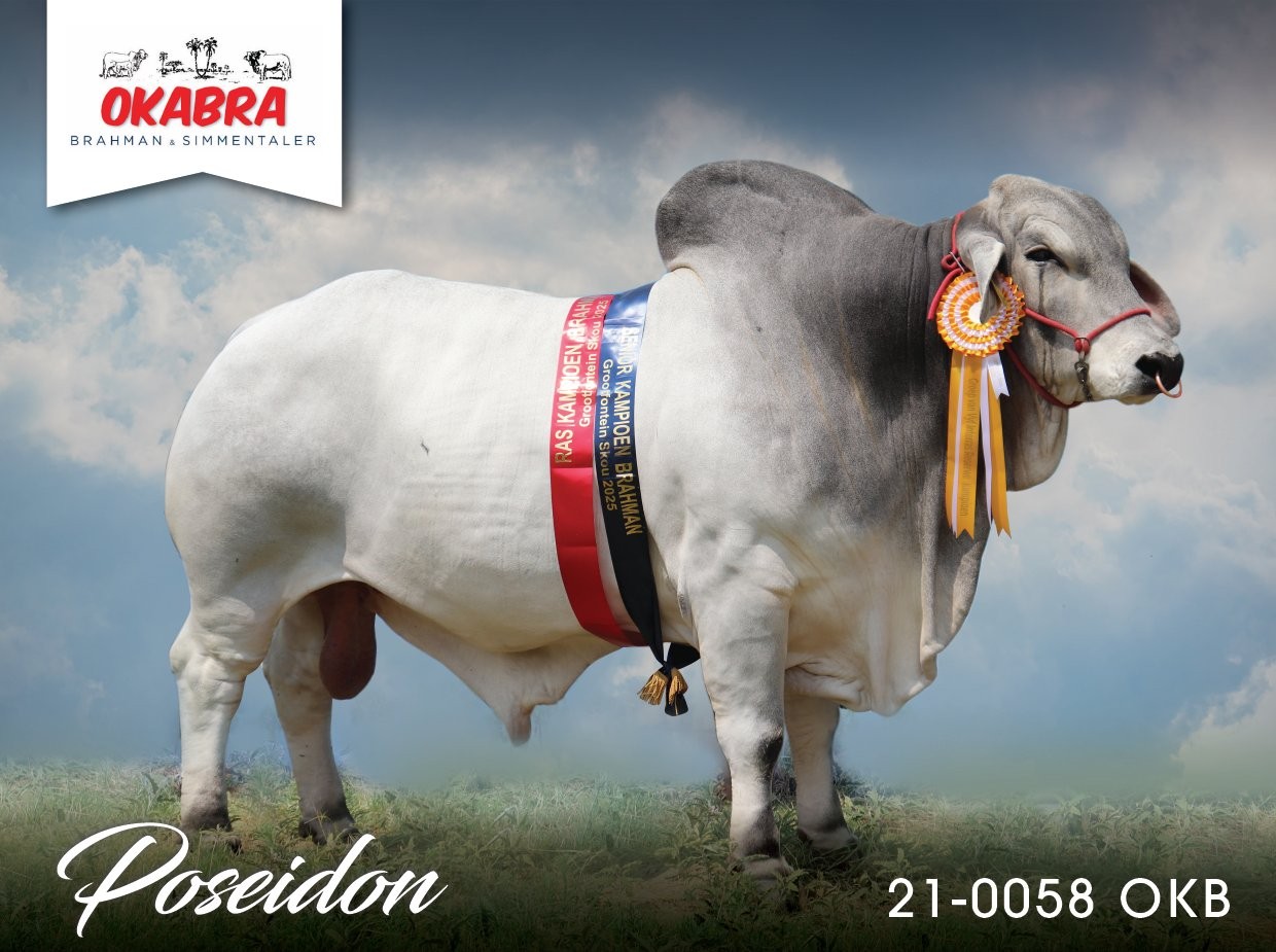 Okabra_Poseidon 21-0058OKB 21-0155WB