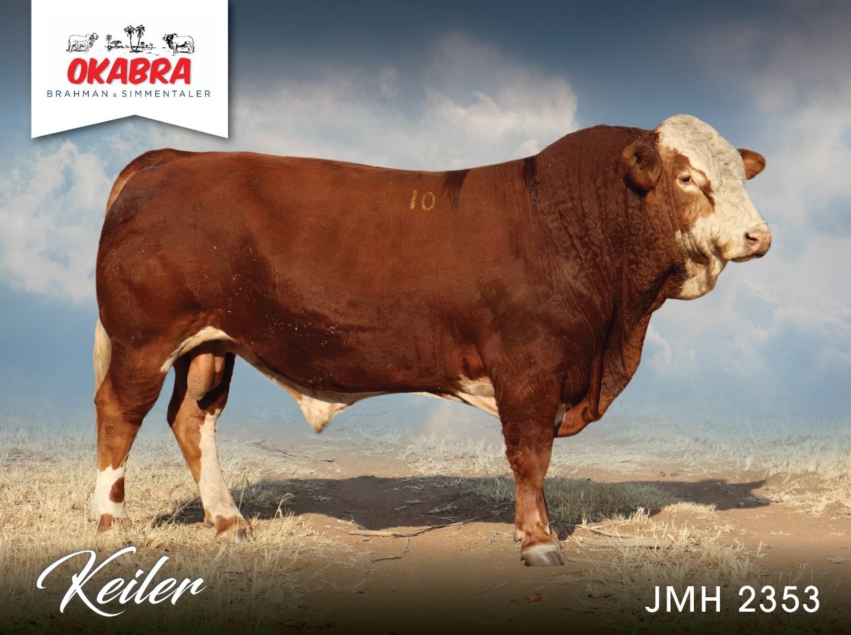 Okabra_Keiler JMH 2343 WAL1563